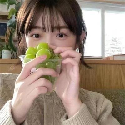 船来船往封面